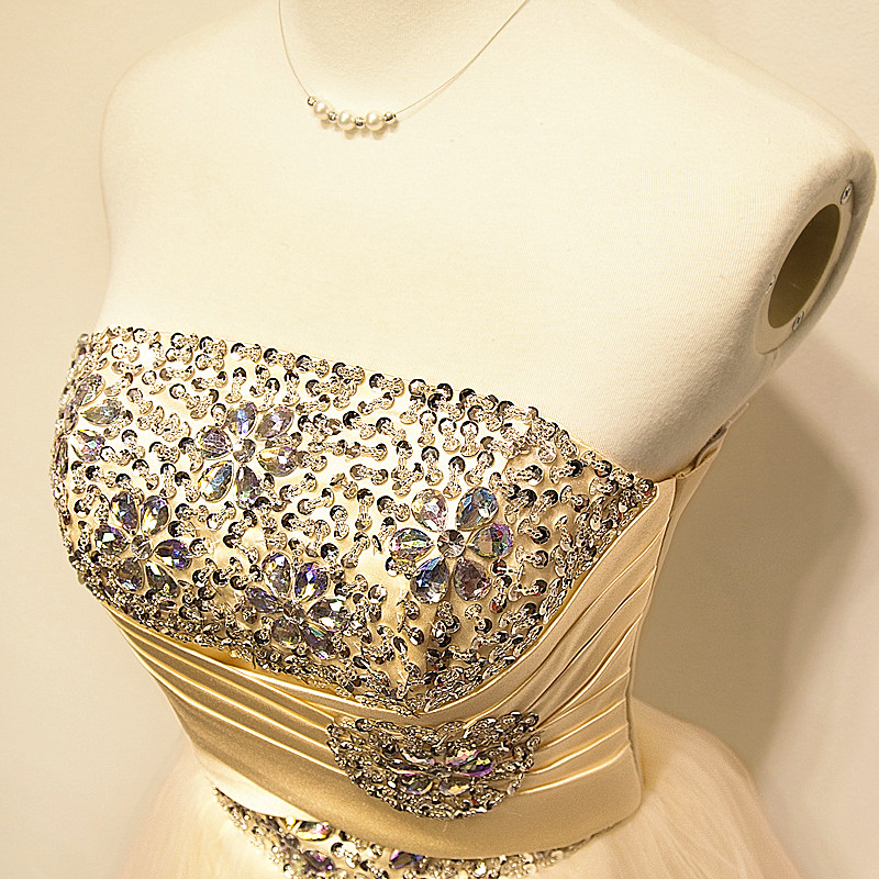 Ball Gown Strapless Sleeveless Mini Tulle Evening Dress With Crystal 3
