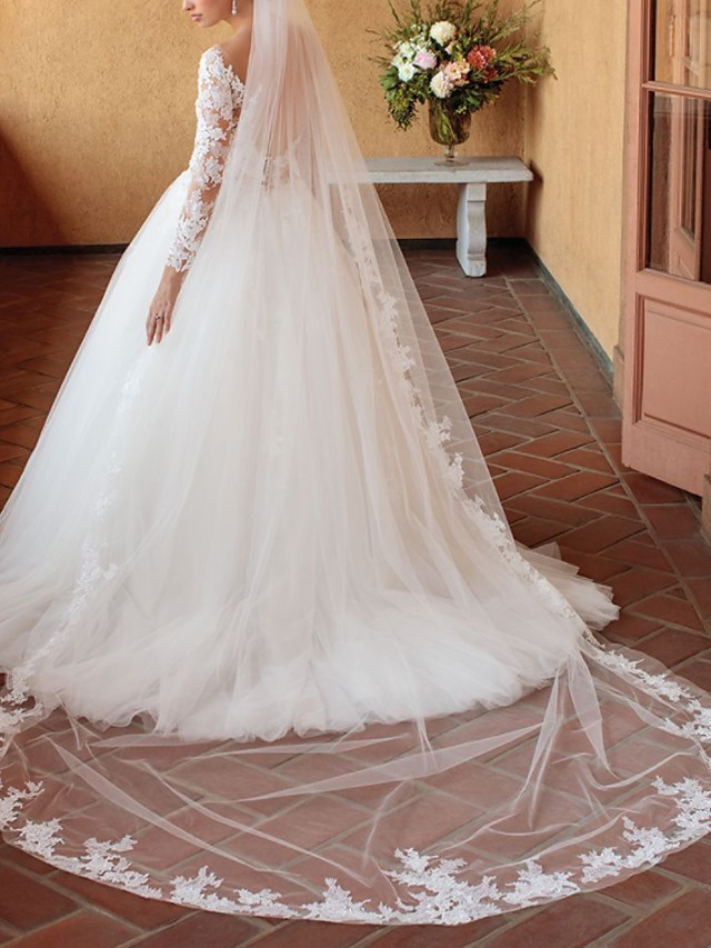 Ball Gown V-neck Chapel Train Tulle Wedding Gown With Lace 4