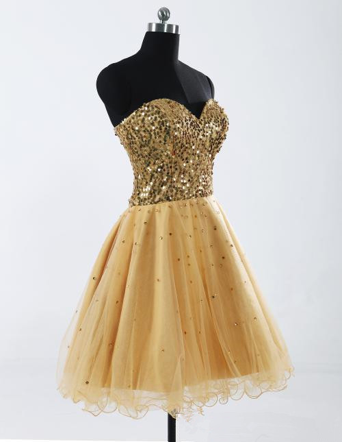 A-line Sweetheart Neck Sleeveless Mini Organza Homecoming Dress With Sequins 2