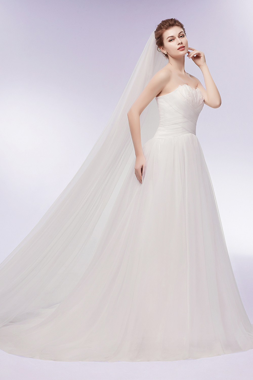 A-line Strapless Sweetheart Neck Sleeveless Chapel Train Tulle Wedding Gown With Feathers 10