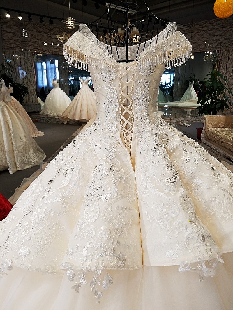 Ball Gown Cathedral Train Tulle Wedding Dress With Lace 4