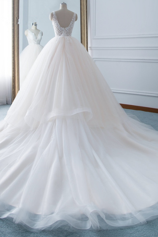 A-line V-neck Sleeveless Floor-length Tulle Wedding Dress With Appliques 2