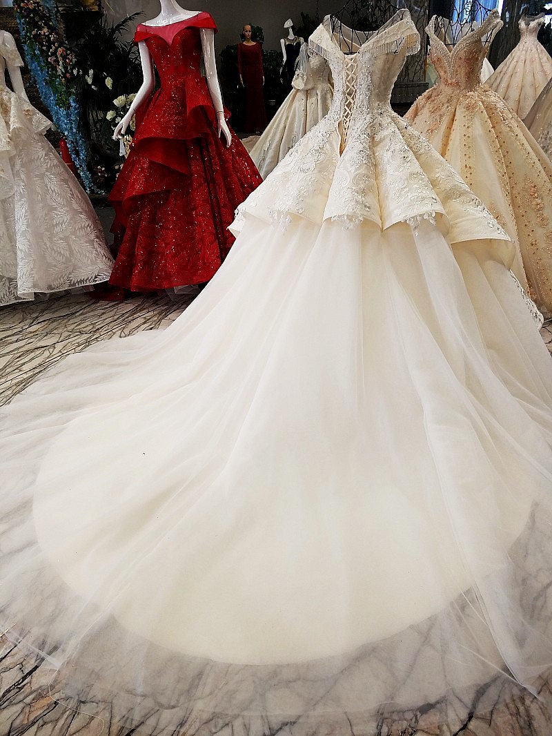 Ball Gown Cathedral Train Tulle Wedding Dress With Lace 3