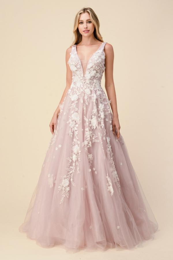 A-line Plunging Neckline Sleeveless Floor-length Tulle Evening Dress With Lace 1