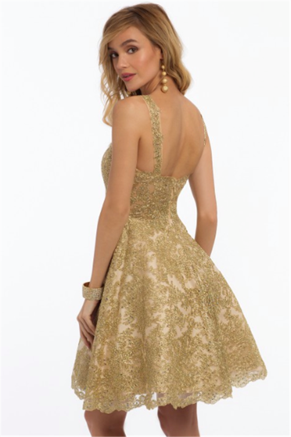A-line Straps Sleeveless Knee-length Party Dress With Appliques 2