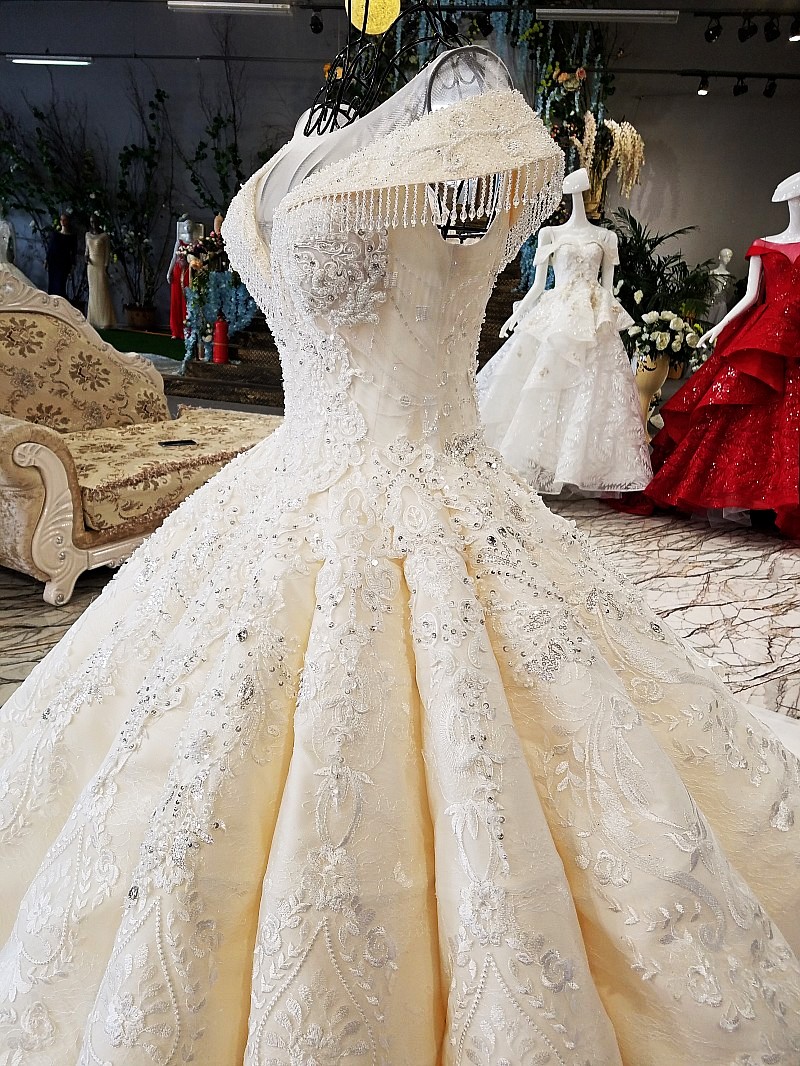 Ball Gown Cathedral Train Tulle Wedding Dress With Lace 5