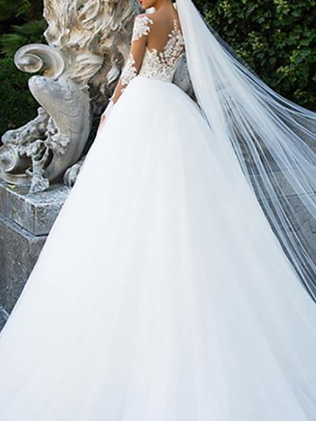 Ball Gown Long Sleeves Sweep / Brush Train Tulle Wedding Dress With Lace 2