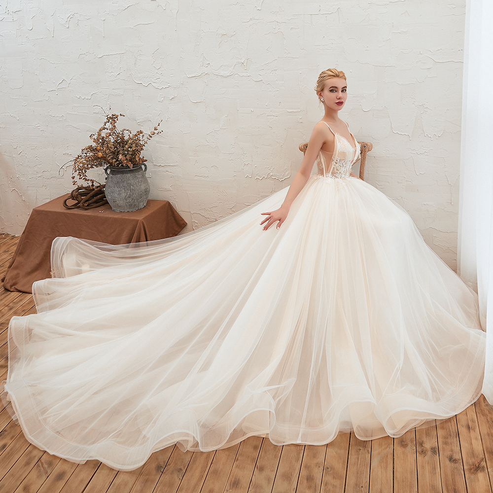 A-line Spaghetti Straps V-neck Sleeveless Cathedral Train Tulle Wedding Dress With Beading 7