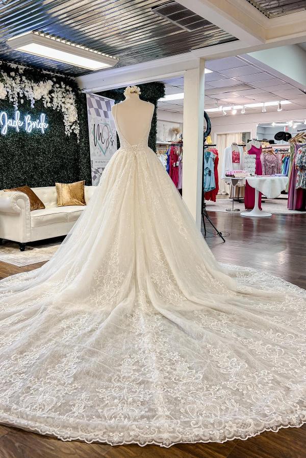 Sparkle Tulle Ball Gown with Intricate Lace Appliques and V-Neck 2