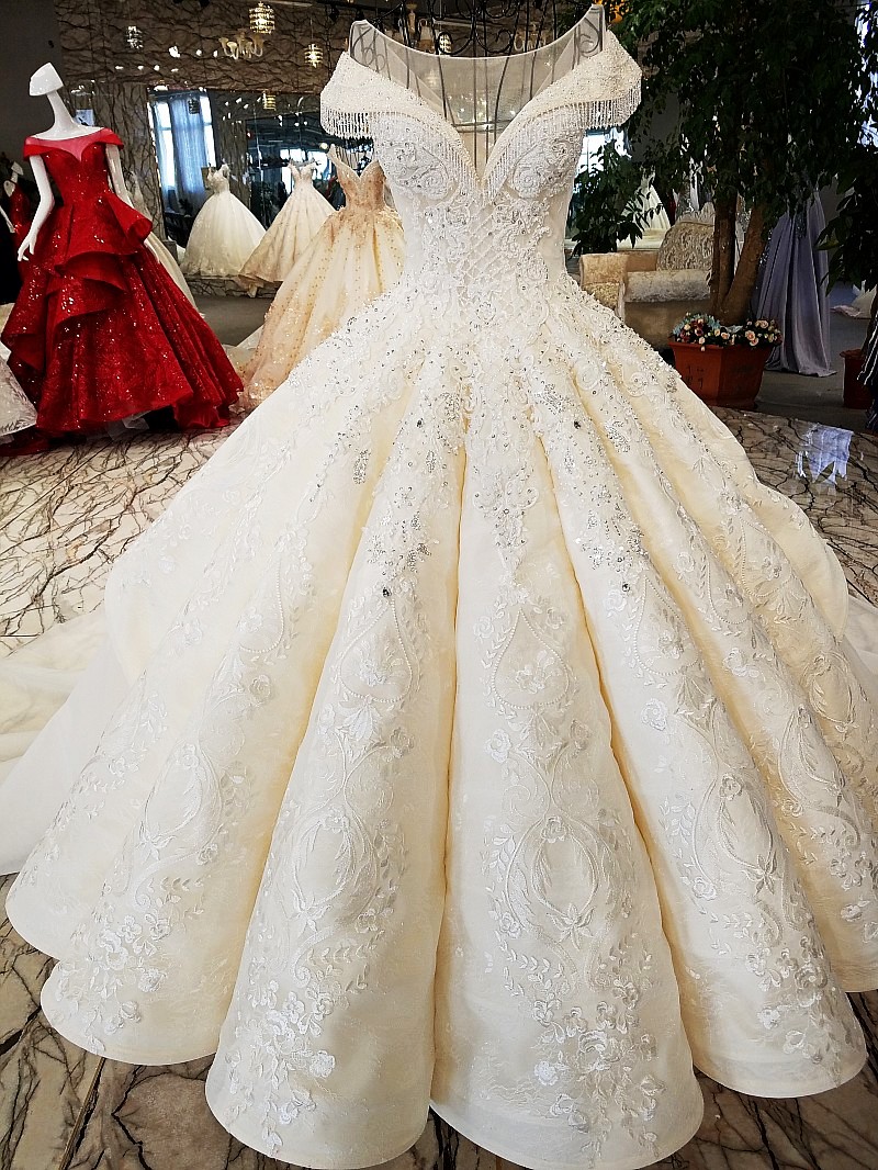 Ball Gown Cathedral Train Tulle Wedding Dress With Lace 2