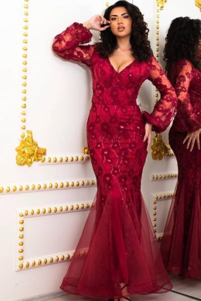 Mermaid V-neck Long Sleeves Floor-length Tulle Evening Dress With Lace