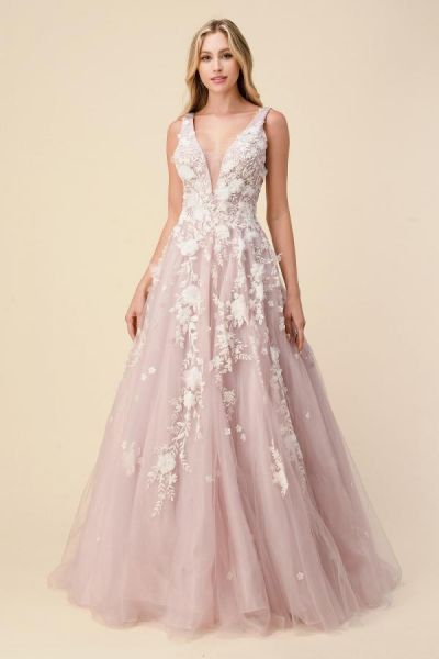 A-line Plunging Neckline Sleeveless Floor-length Tulle Evening Dress With Lace