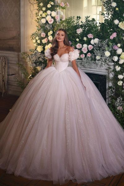 Ball Gown Off-the-shoulder Sleeveless Chapel Train Tulle Wedding Gown With Lace