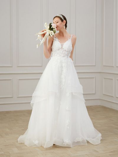 A-line V-neck Sleeveless Sweep / Brush Train Lace Bridal Gown With Lace