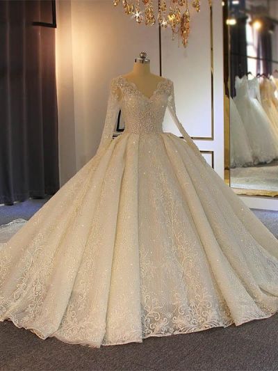 Ball Gown V-neck Long Sleeves Tulle Bridal Gown With Lace