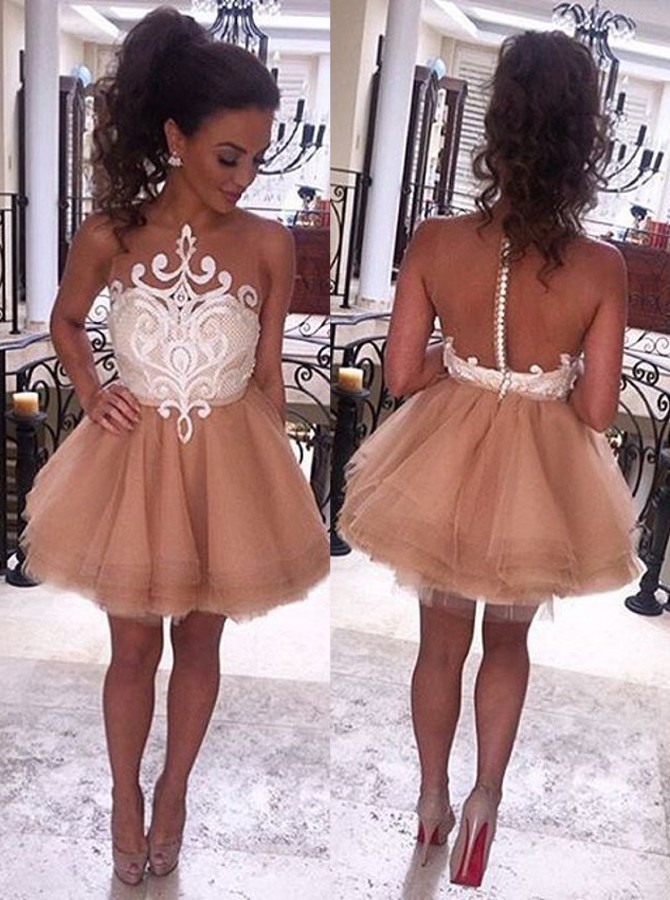 A-line Scoop Neck Sleeveless Mini Tulle Evening Dress With Appliques 1