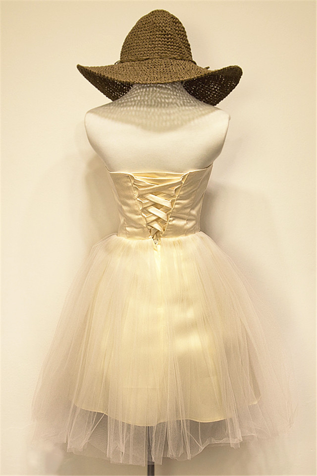 Ball Gown Strapless Sleeveless Mini Tulle Evening Dress With Crystal 2