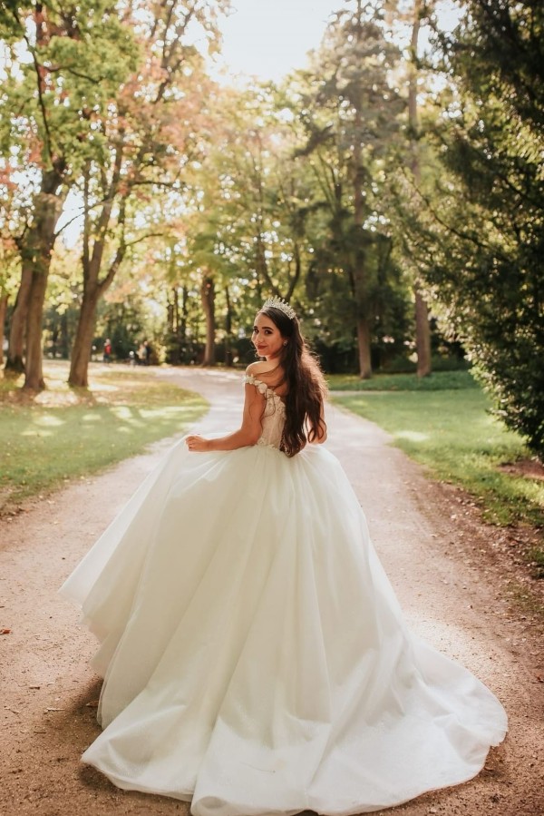 Seraphina 3D Floral Lace Off-the-Shoulder Shimmer Tulle Ball Gown 4