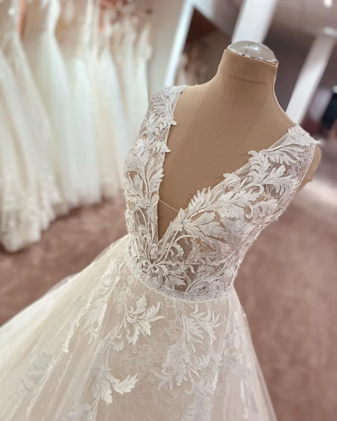 A-line Plunging Neckline Sleeveless Court Train Tulle Bridal Gown With Lace 3